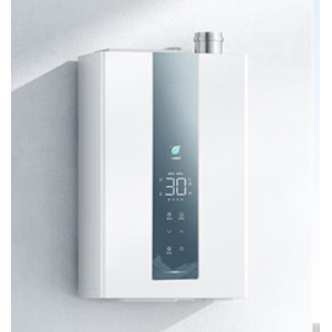 Constant temperature, first-class energy efficiency gas water heater